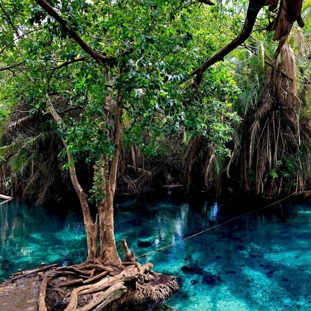 kikuletwa hotsprings in moshi