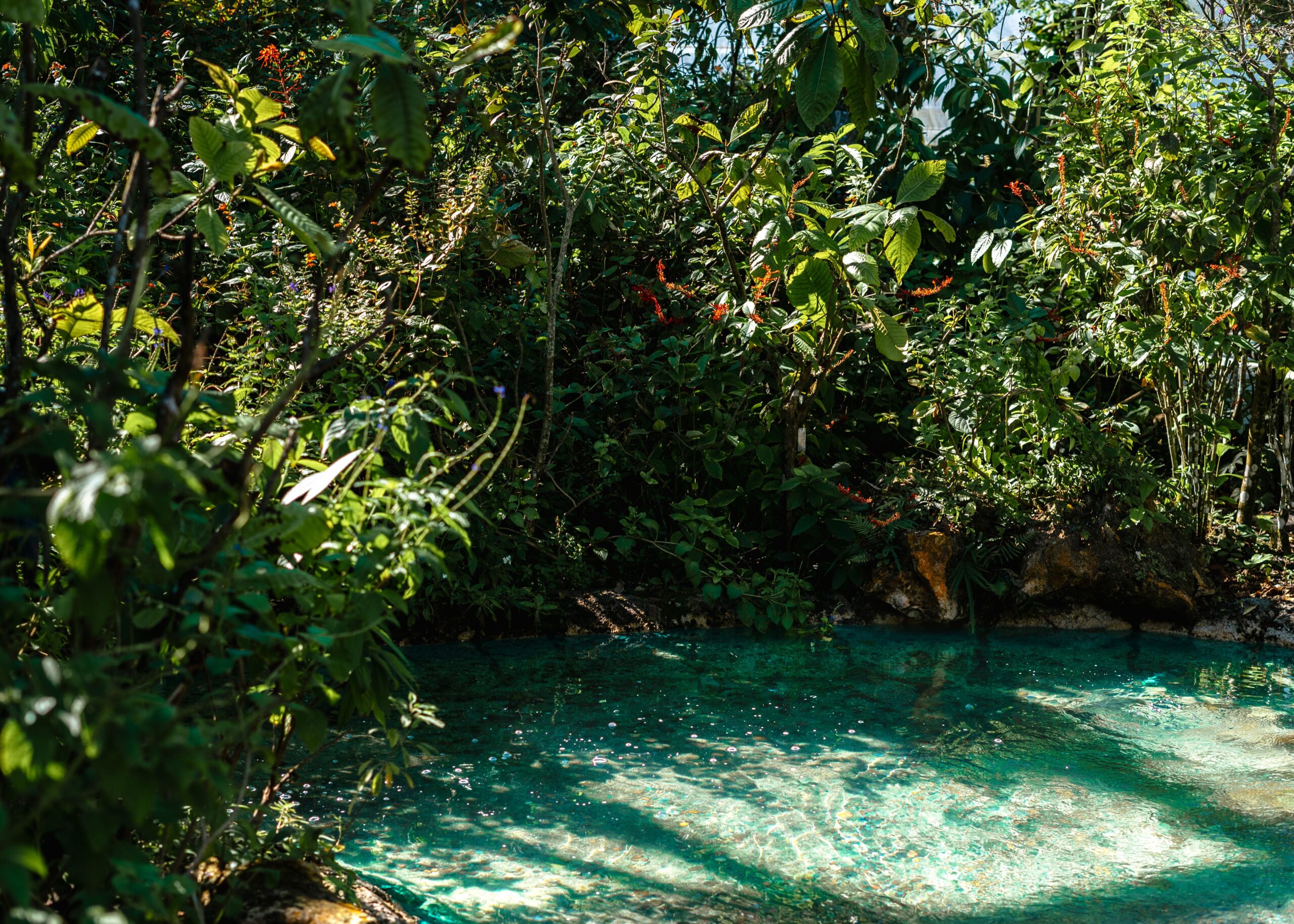 kikuletwa hot springs enviroment