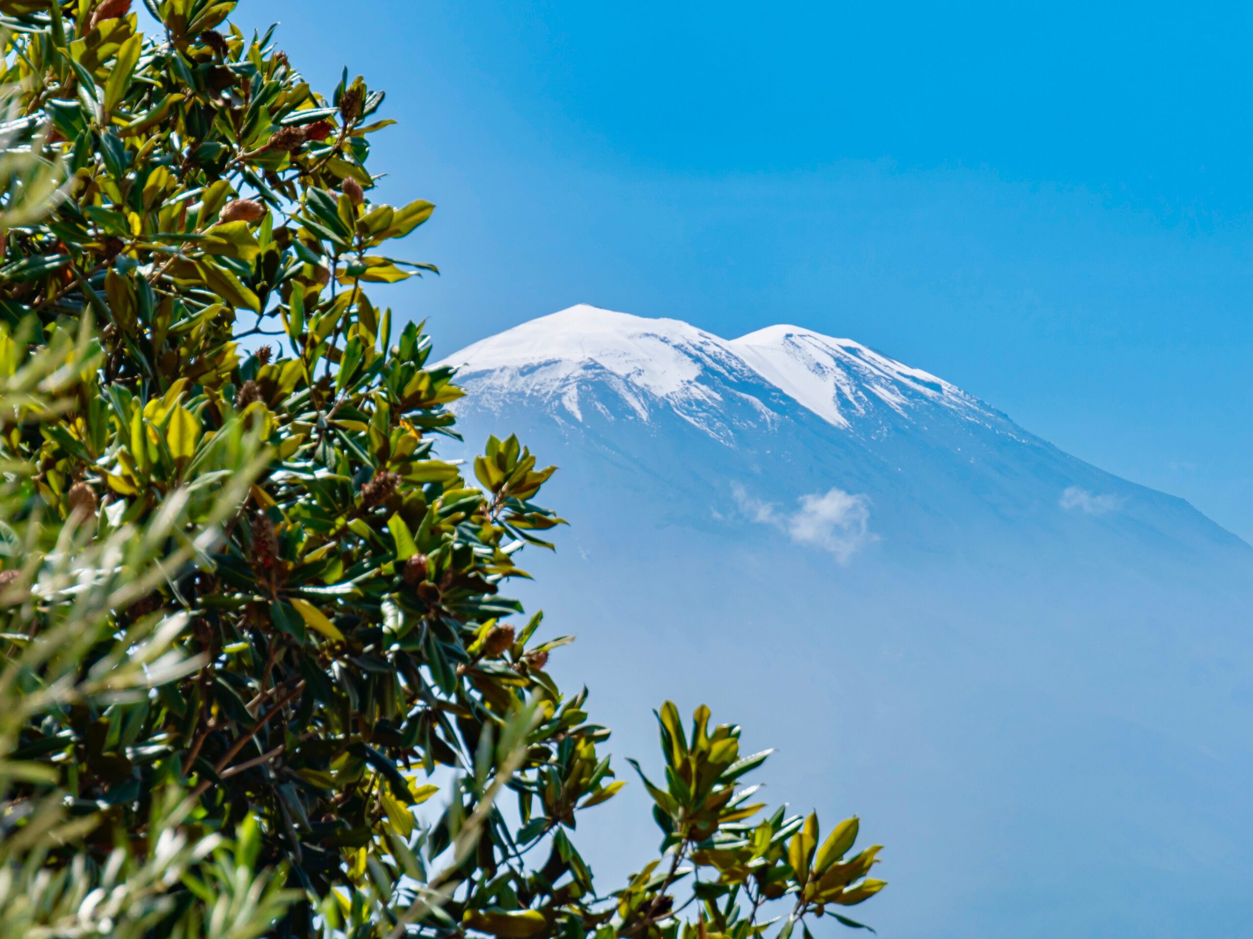 Kilimanjaro mountain view in Moshi