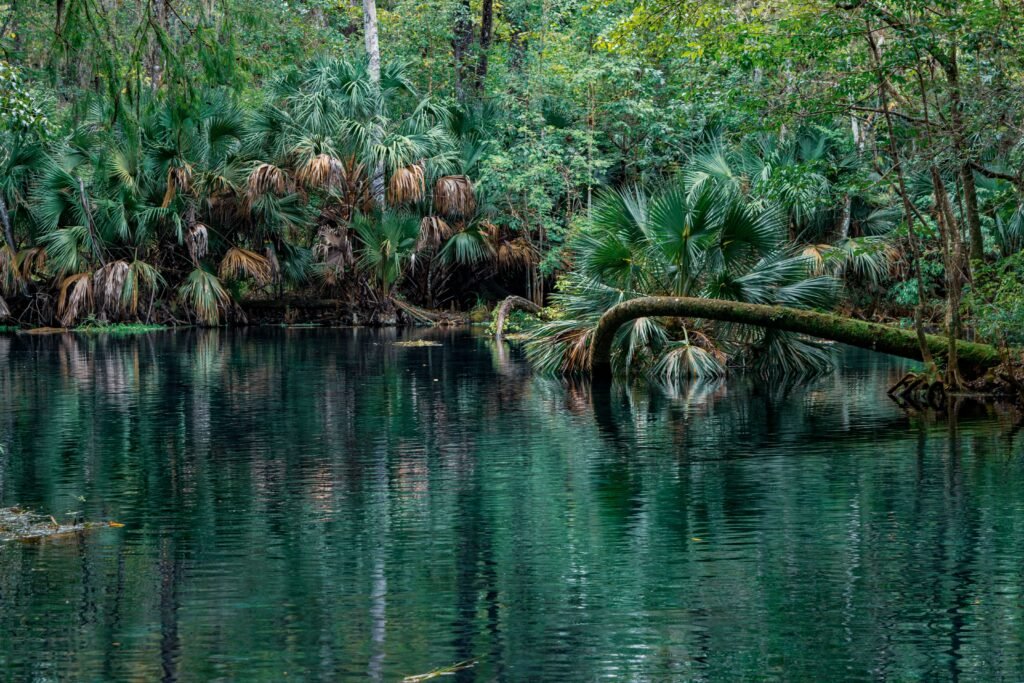 kikuletwa hotspring