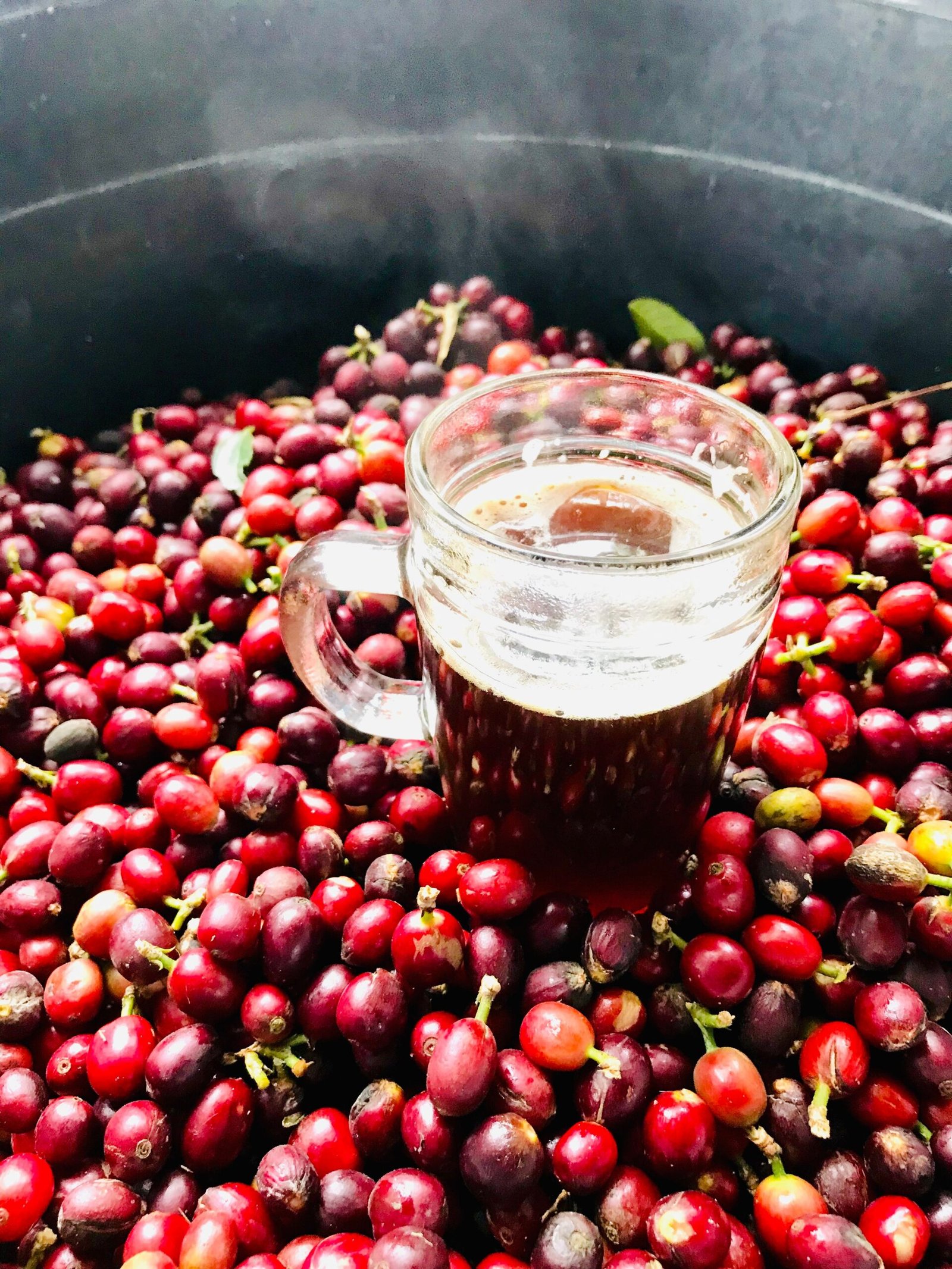 Materuni waterfalls coffee experience