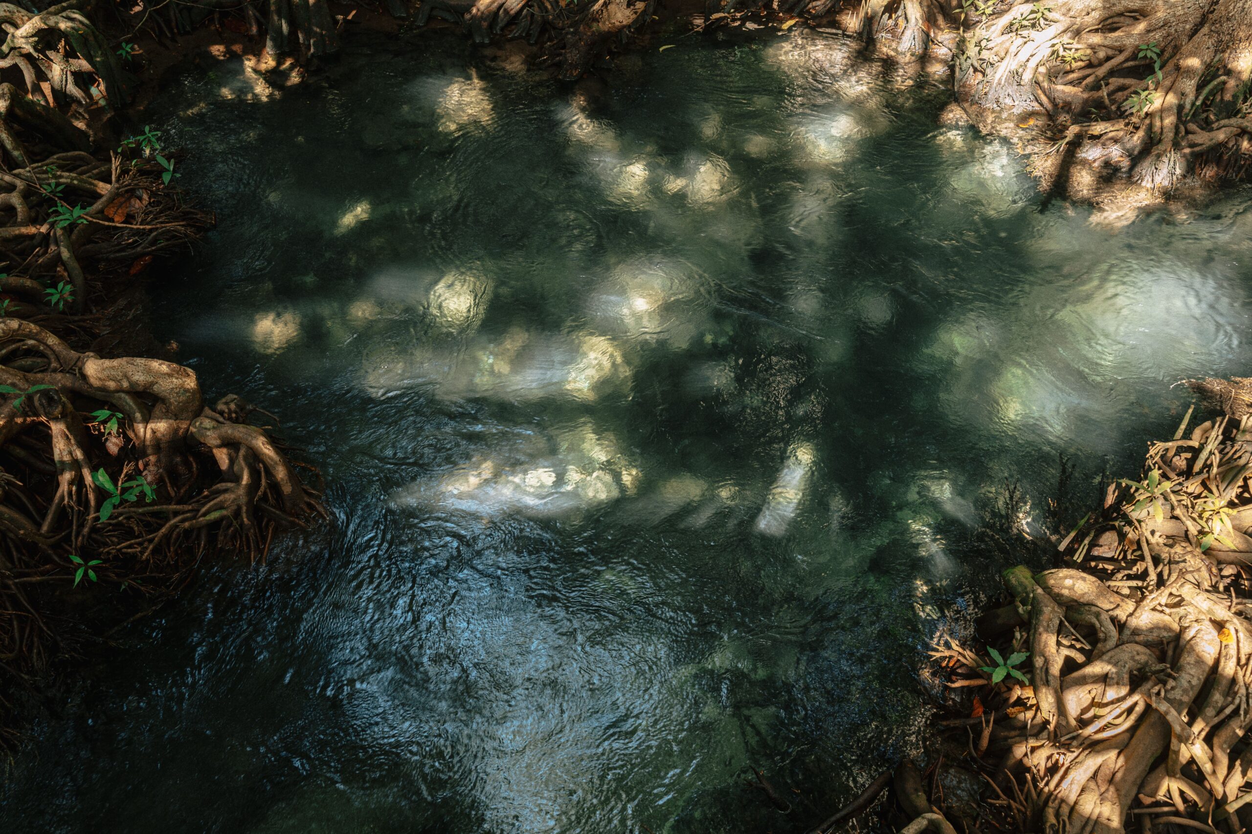 kikuletwa hot springs view
