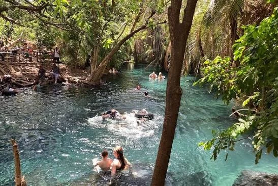 Kikuletwa Hot Springs swimming