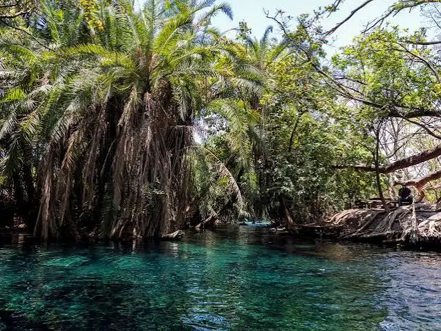 Kikuletwa Hot Springs swimming