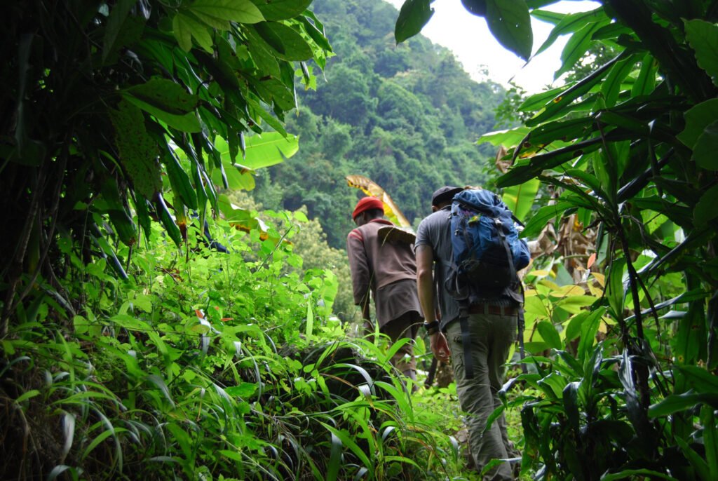 Materuni Waterfall hike